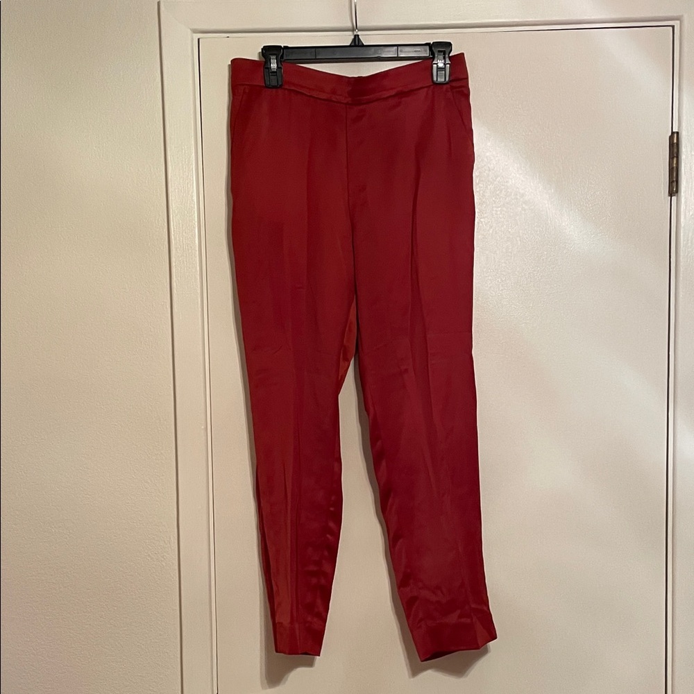 Banana Republic Burnt Orange Ankle Pants